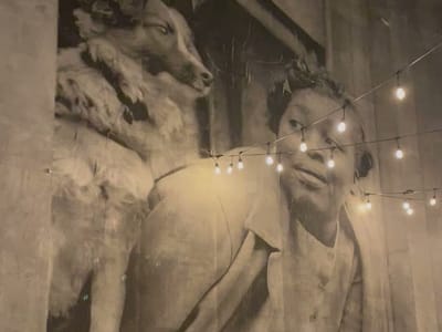 Between the Covers Bookstore