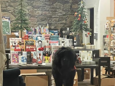 Between the Covers Bookstore