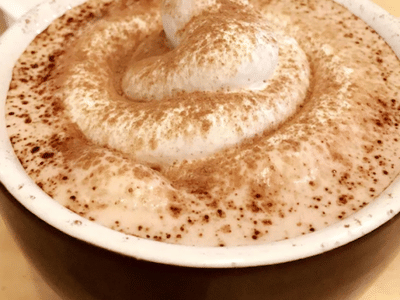 bibo coffee company / bibo freddo gelato