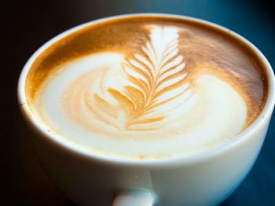 bibo coffee company / bibo freddo gelato