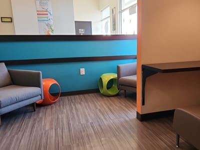 Biggby Coffee Charleston West Ashley