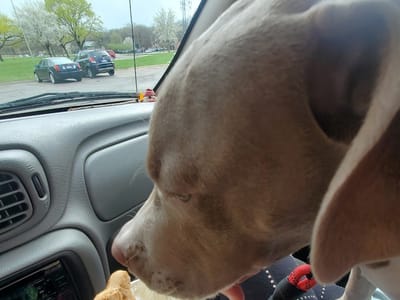 Biggby Coffee Drive-thru