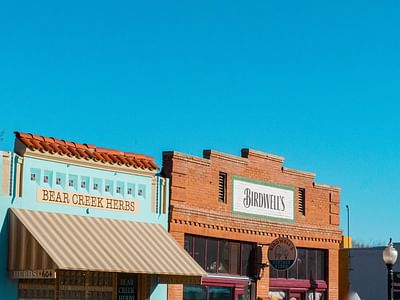 Birdwell's Vintage Vibes