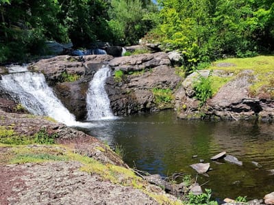 Black and Brass Coffee Roasting Company