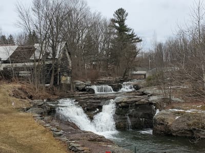 Black and Brass Coffee Roasting Company