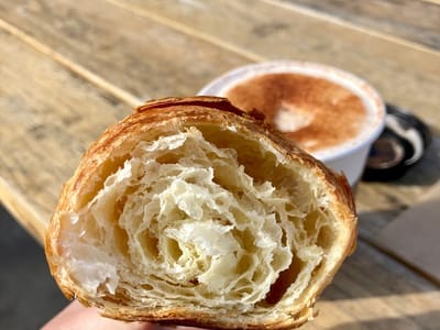 Black Bear Coffee Co.