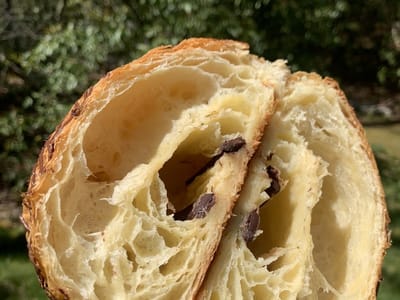 Black Bear Coffee Co.