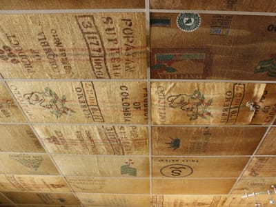 Black Bear Coffee Co