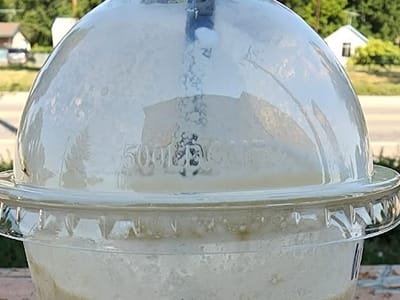 Black Brew Coffee House - Joliet