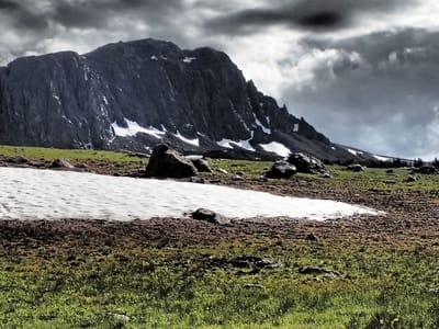 Black Butte Coffee Co.