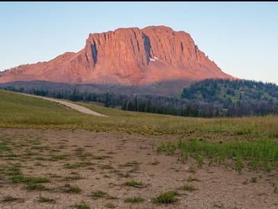 Black Butte Coffee Co.