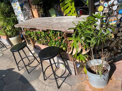 Black Crow Coffee Shop