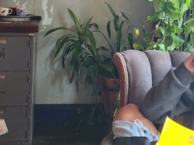 Black Crow Coffee Shop