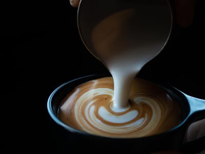 Black Dog Coffee House - Poly Drive