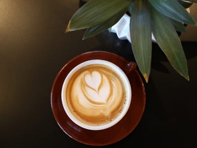 Black Dog Coffee House