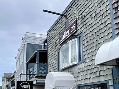 Black Fly Coffee Co.