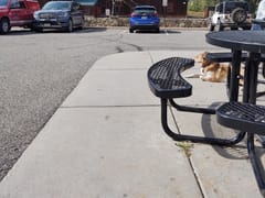 Black Hawk Bean and Cream (The B&C)