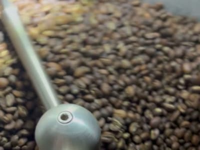 Black Honey Coffee Co