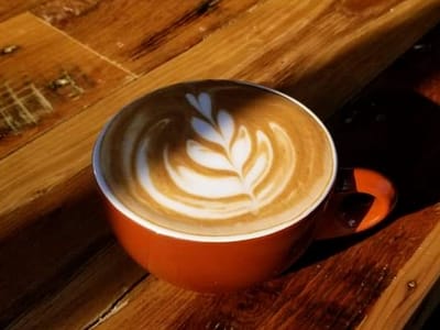 Black Lab Coffee Co Downtown