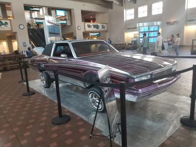 Black Mesa Coffee Co