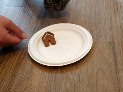 Black Oak Coffee Roasters