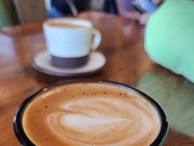 Black Oak Coffee Roasters