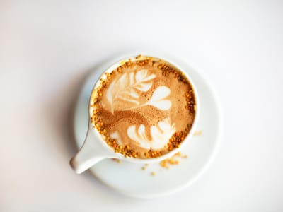 Black Oak Coffee Roasters