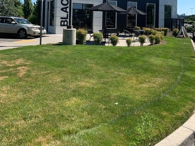 Black Rock Coffee Bar