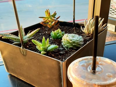 Black Rock Coffee Bar