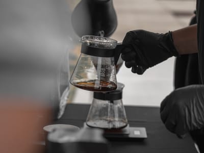 Black Stallion Coffee Company