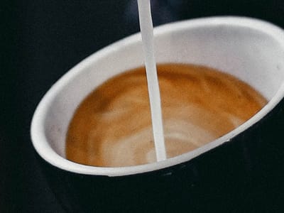 Black Swan Espresso - Specialty Coffee and Tea