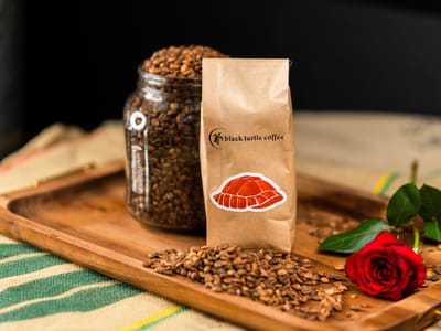 Black Turtle Coffee