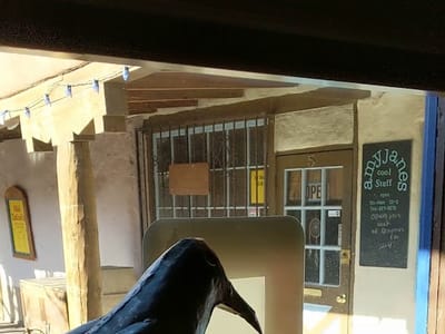 Blackbird Coffee House