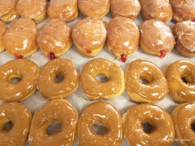 Blackbird on the Fly