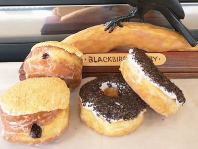 Blackbird on the Fly