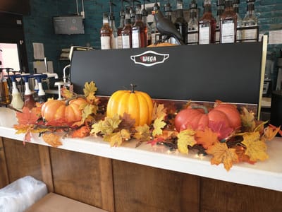 Blackbird on the Fly