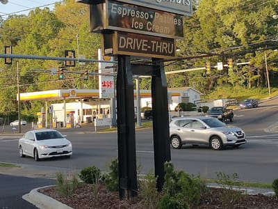 Blackbird on the Fly