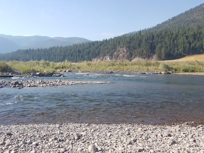 Blackfoot River Coffee Co.