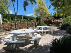 Blond Giraffe Key Lime Pie Factory