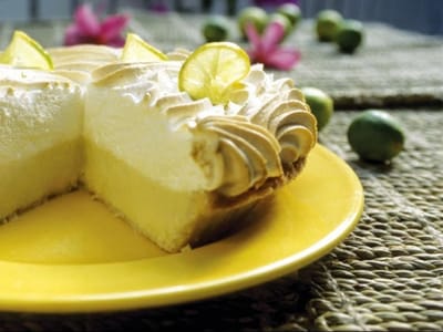 Blond Giraffe Key Lime Pie Factory