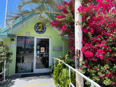 Blond Giraffe Key Lime Pie Factory