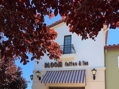 Bloom Coffee and Tea