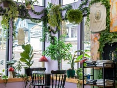 Blossom Bird Bubble Tea