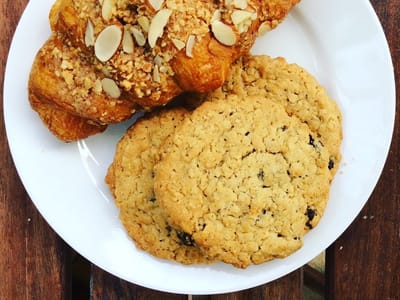 Blue Donkey Coffee Co.