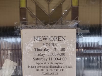 blue lion coffee roasting company
