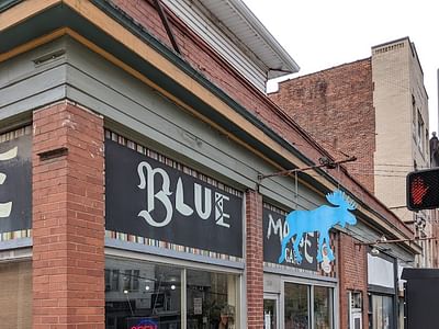 Blue Moose Café