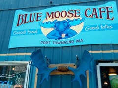 Blue Moose Cafe