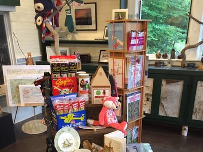 Blue Mountain Designs