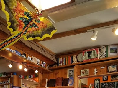 Blue Owl Books & Boutique