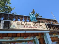 Blue Owl Books & Boutique